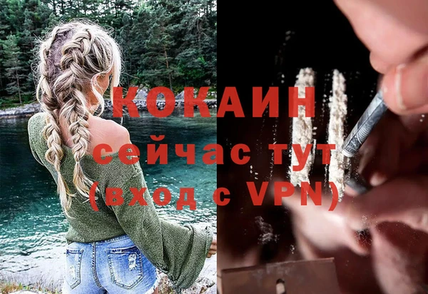 трава Няндома