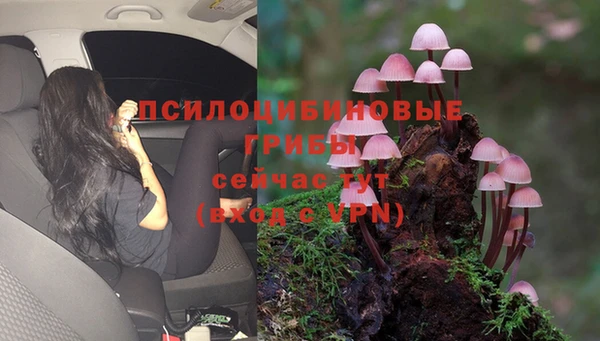 прущий лед Кодинск