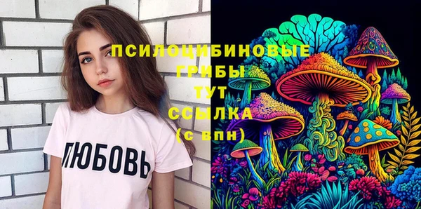 молекула духа Новодвинск