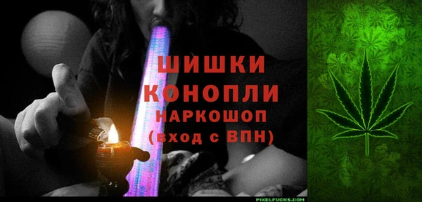 молекула духа Новодвинск